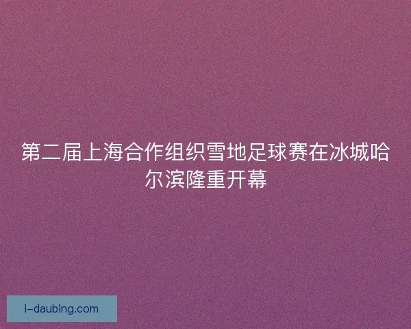 第二届上海合作组织雪地足球赛在冰城哈尔滨隆重开幕